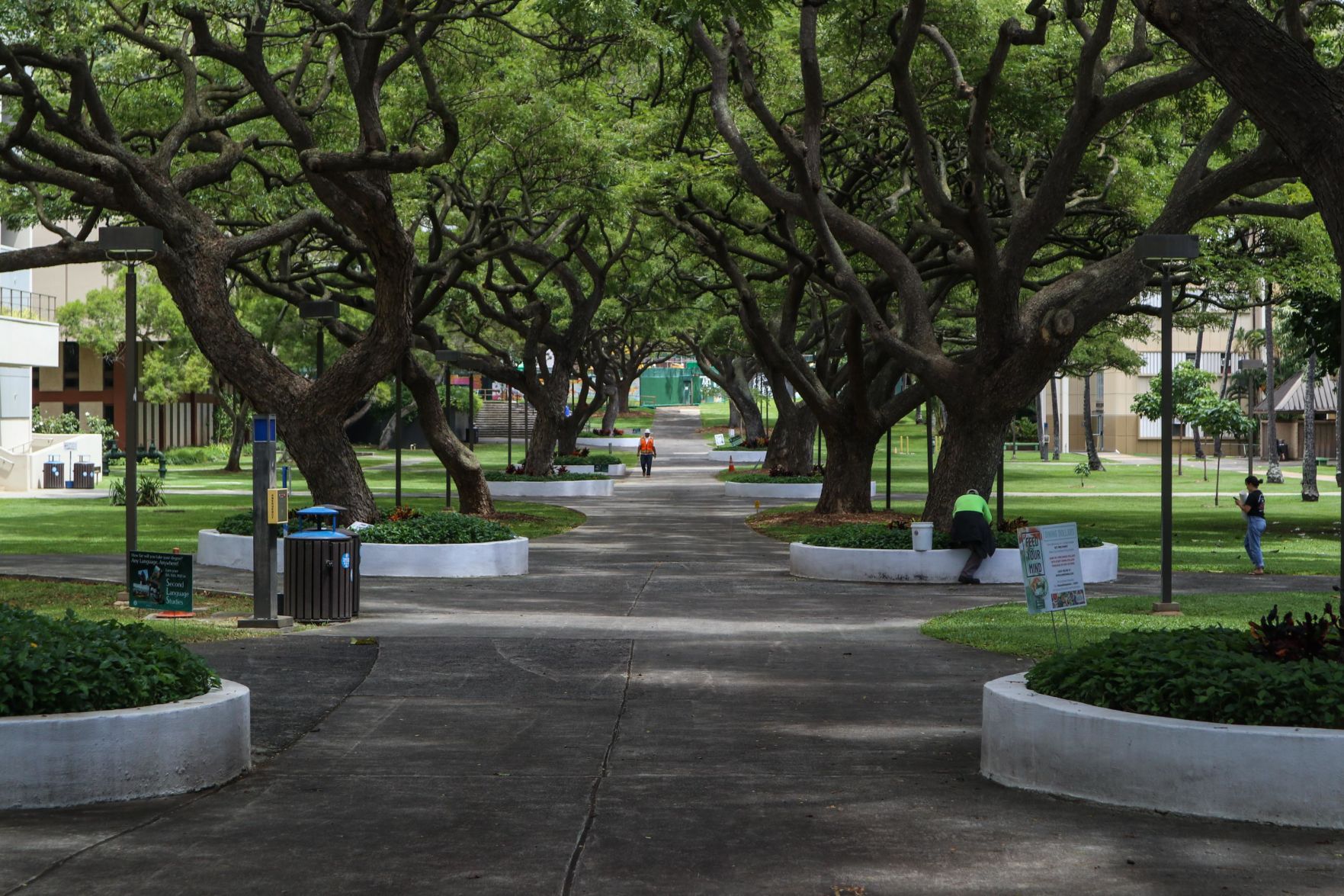 Empty Campus